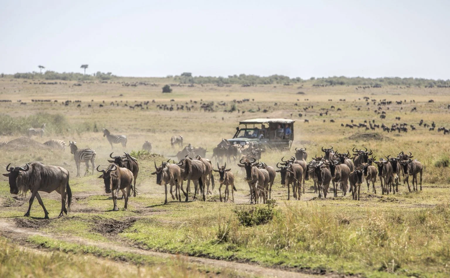The 4x4 self-drive vehicle available to guests at Sio Maasai