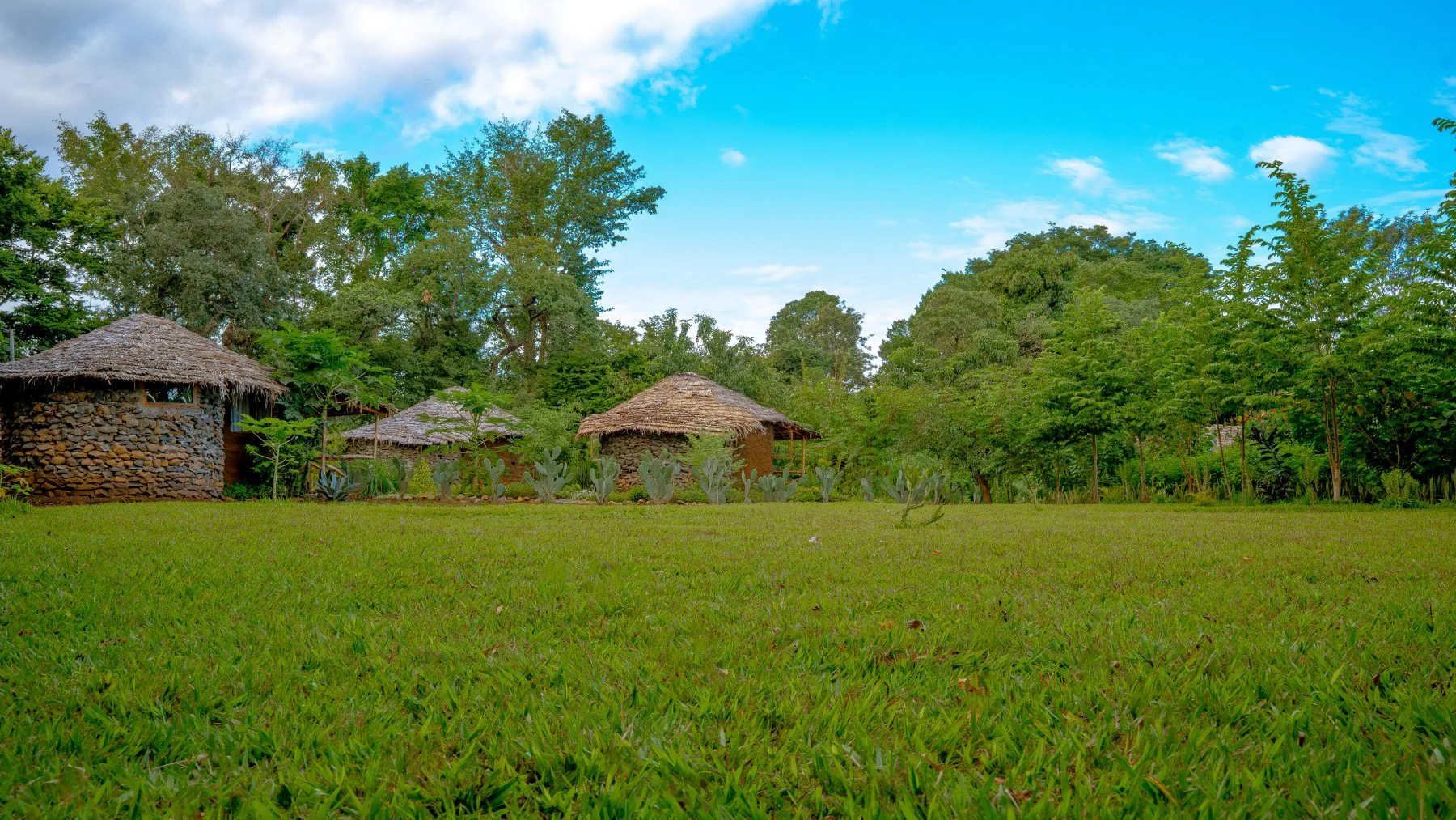 The lawn and thatched guest huts at Sio Maasai lodge in Usa River